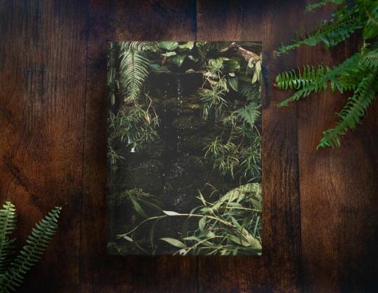 Tropical Waterfall Notebook