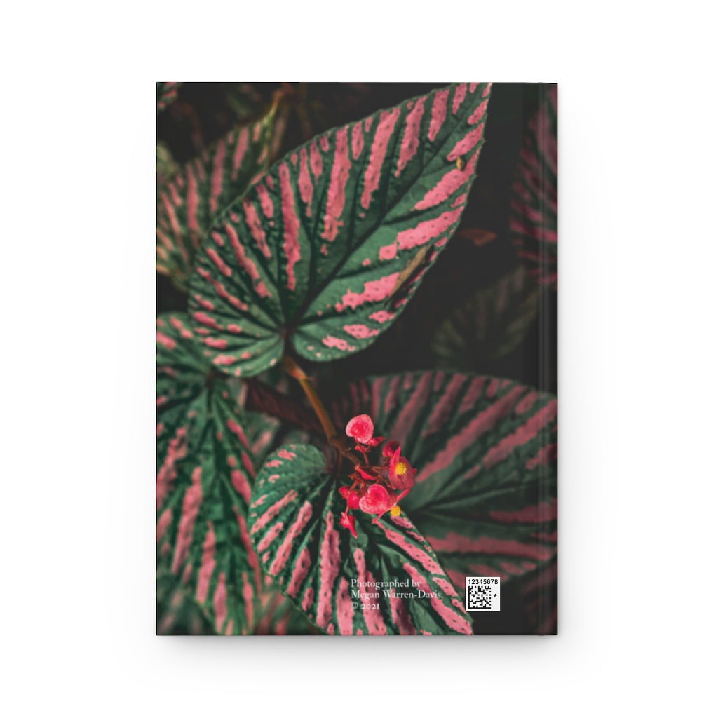 Begonia Brevirimosa Exotica Notebook