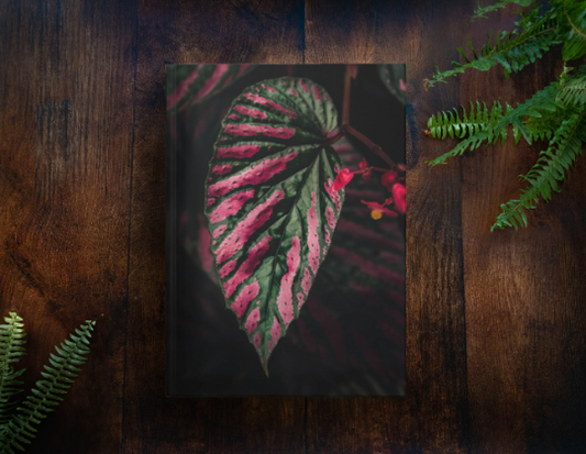 Begonia Brevirimosa Exotica Notebook