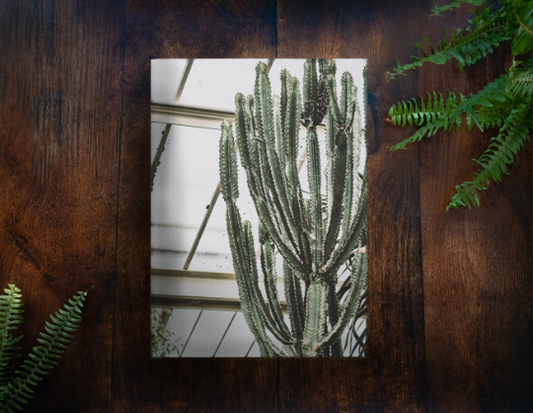 Cactus Notebook