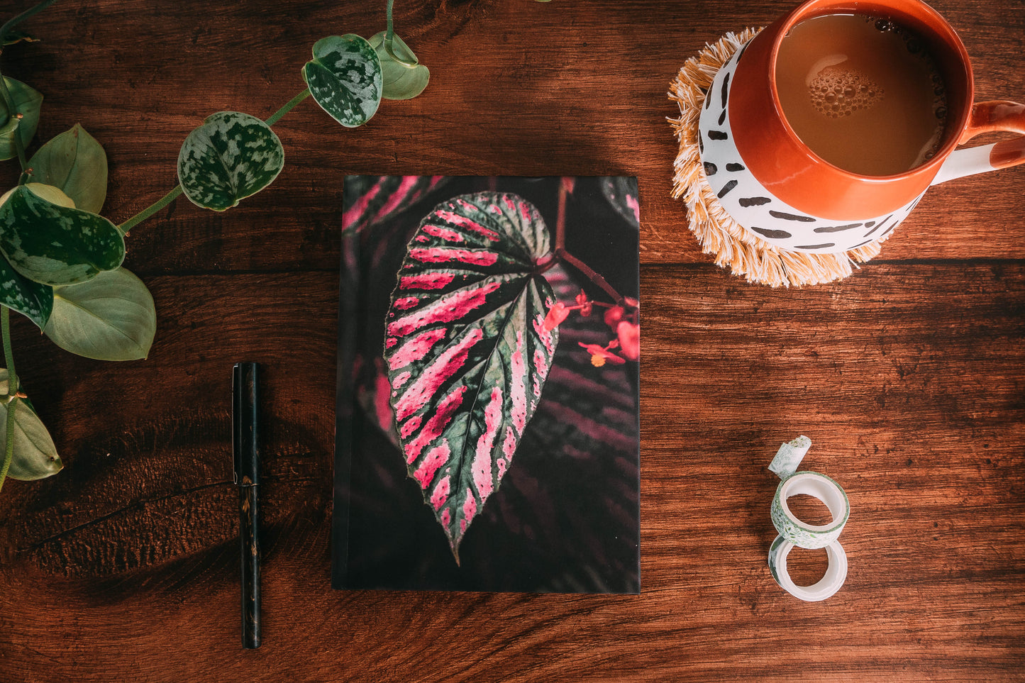 Begonia Brevirimosa Exotica Notebook