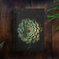 Echeveria Notebook