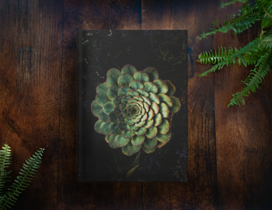 succulent notebook Echeveria Notebook – thedappledforest