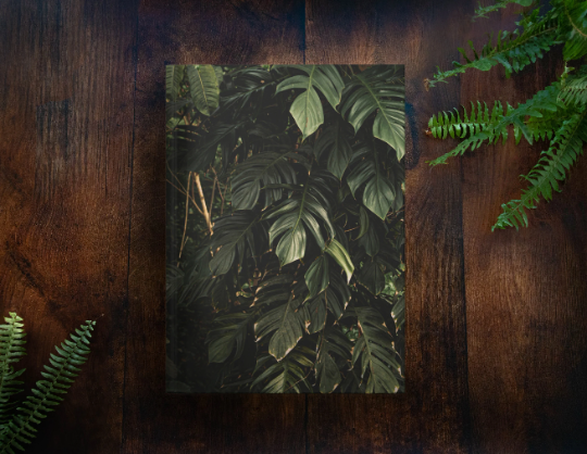 Monstera Deliciosa Notebook